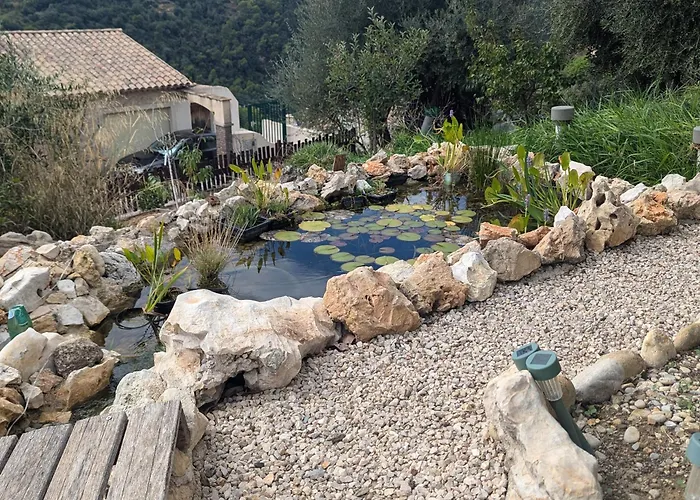 Maison L'aloe Гостевой дом 3*